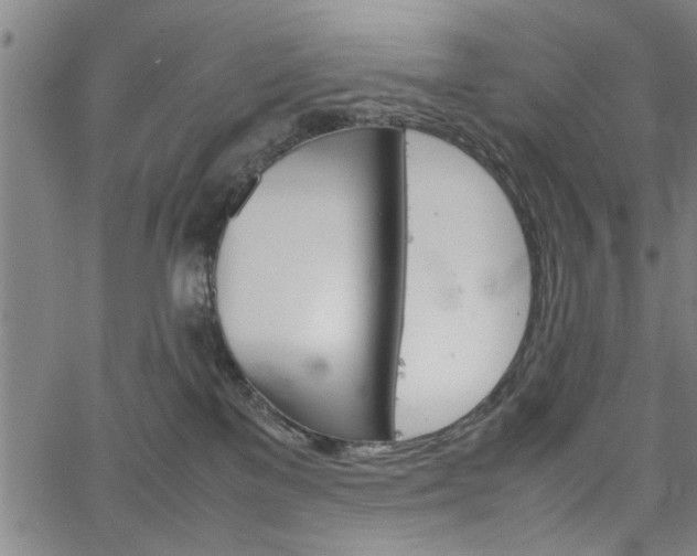 X0000067520137200604071033