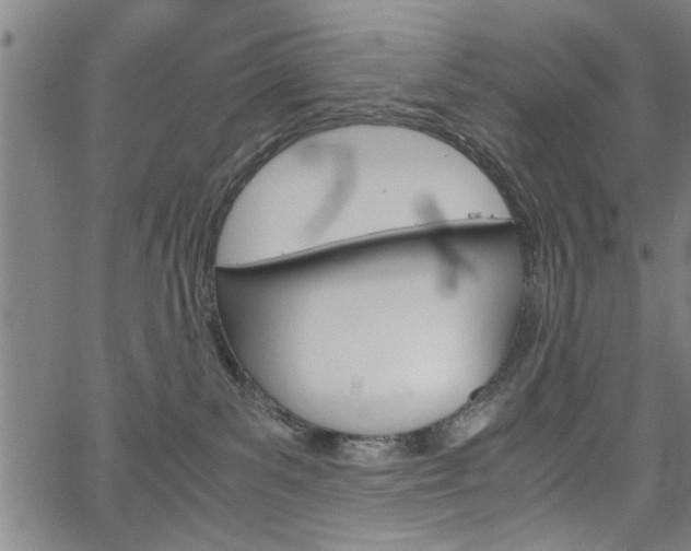 X0000067520139200604071033