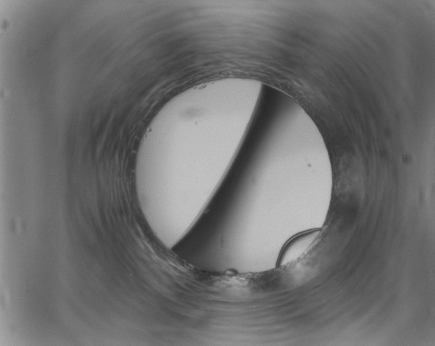 X0000067520140200604071033