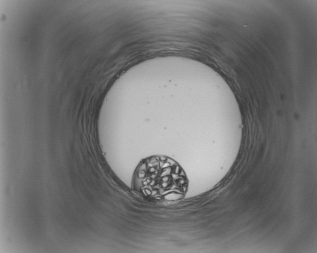 X0000067520141200604071033