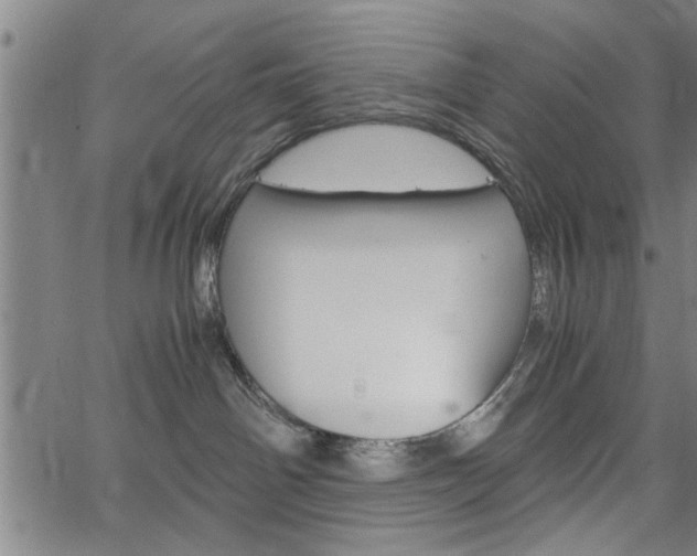 X0000067520142200604071033