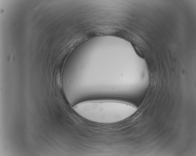 X0000067520143200604071033