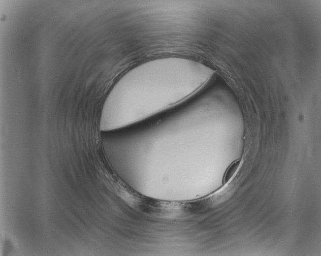 X0000067520144200604071033