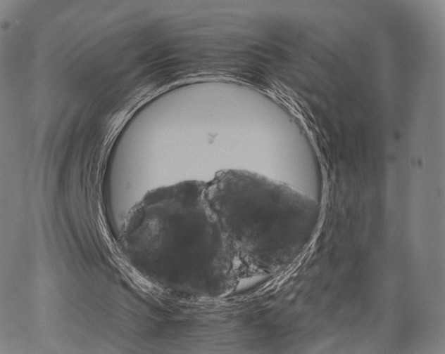 X0000067520145200604071033