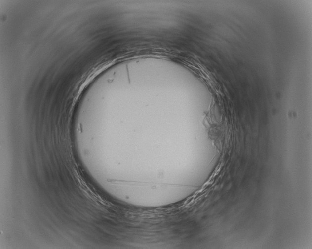 X0000067520146200604071033