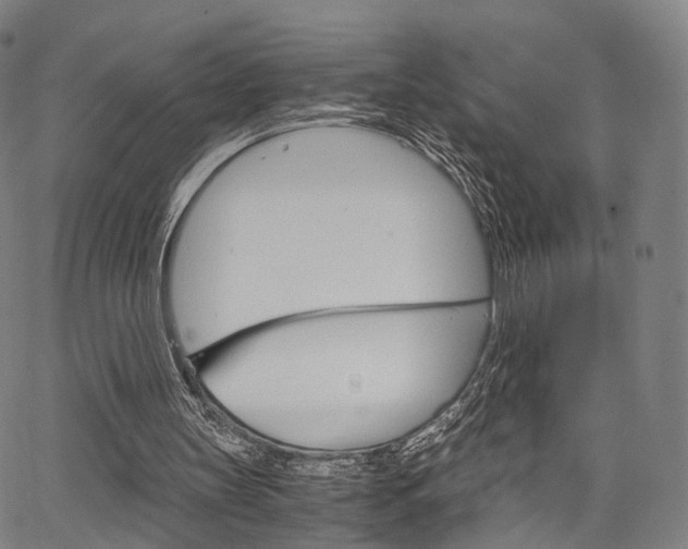 X0000067520147200604071033