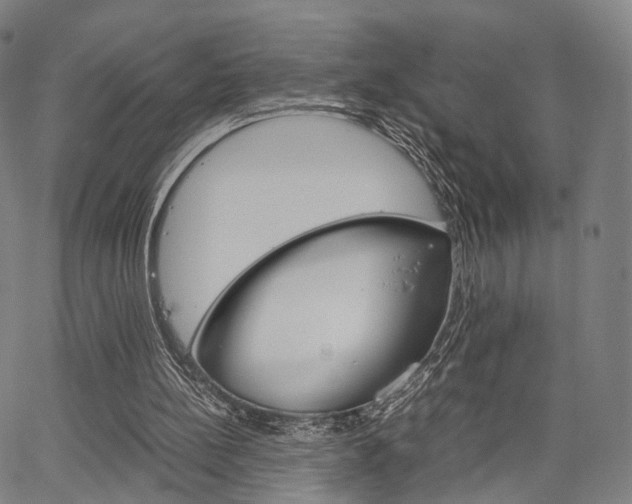 X0000067520148200604071033