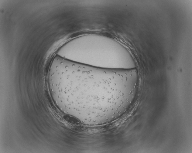 X0000067520149200604071033