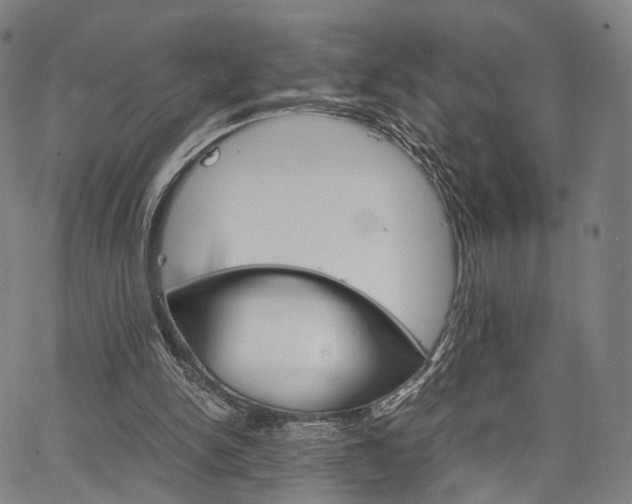 X0000067520150200604071033