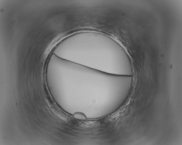 X0000067520151200604071033