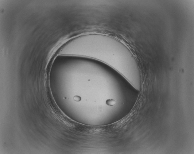 X0000067520152200604071033