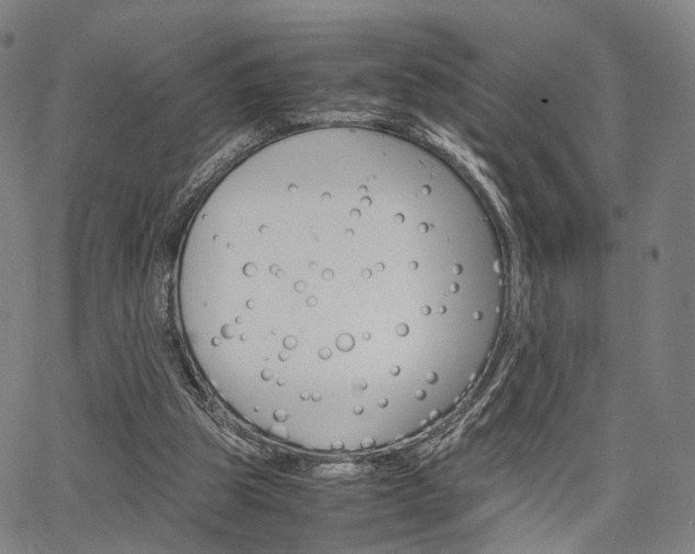 X0000067520153200604071033