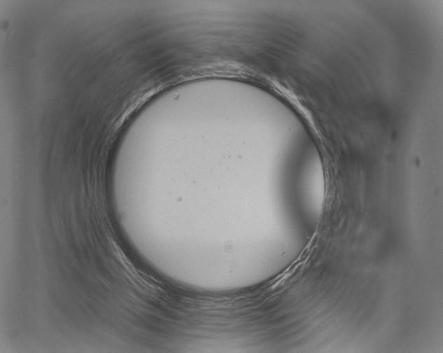 X0000067520154200604071033