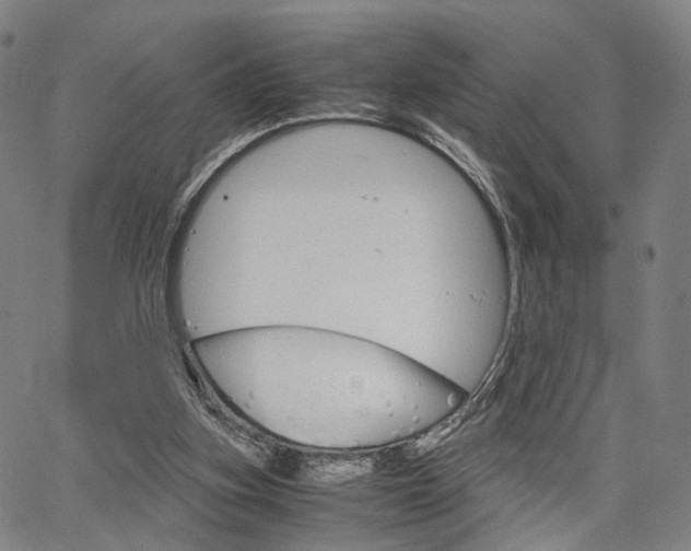 X0000067520155200604071033