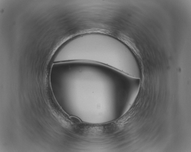 X0000067520156200604071033