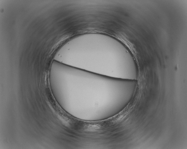 X0000067520157200604071033