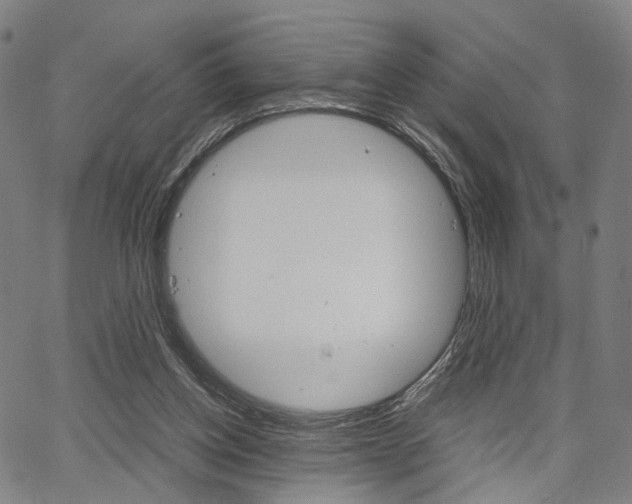 X0000067520158200604071033