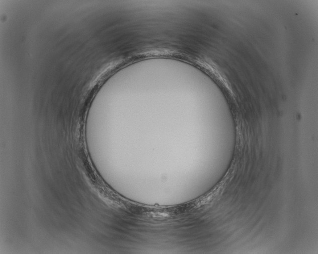 X0000067520159200604071033