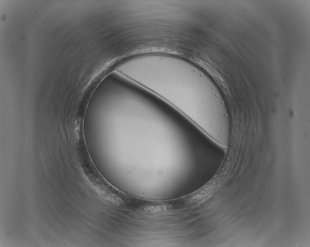 X0000067520160200604071033