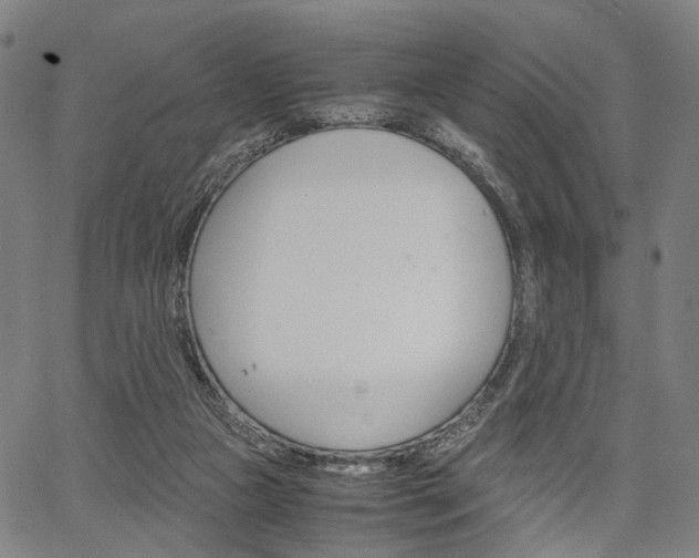 X0000067520161200604071033