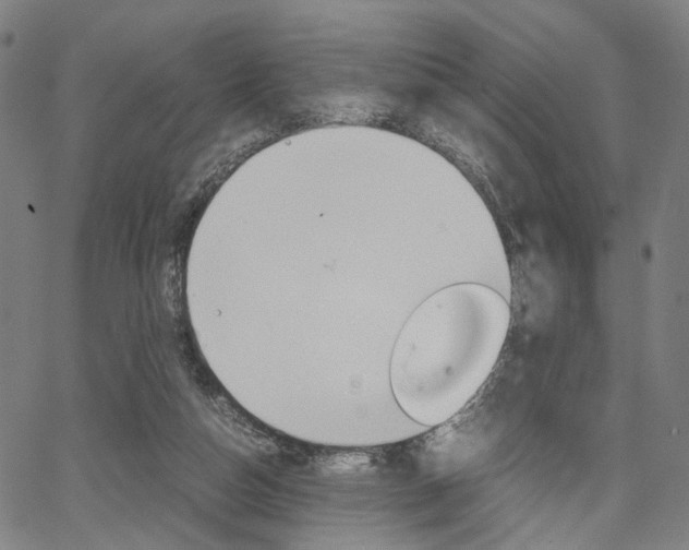 X0000067520162200604071033