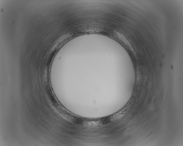 X0000067520163200604071033