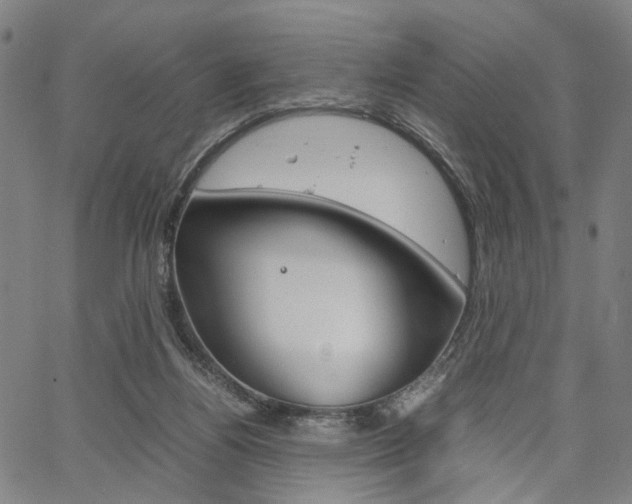 X0000067520164200604071033