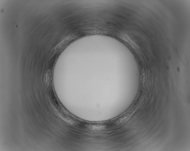 X0000067520165200604071033