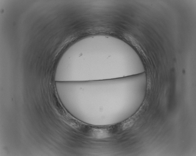 X0000067520167200604071033