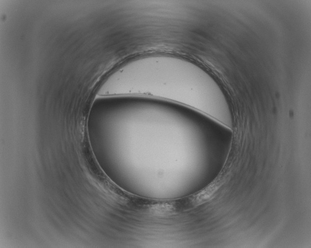 X0000067520168200604071033