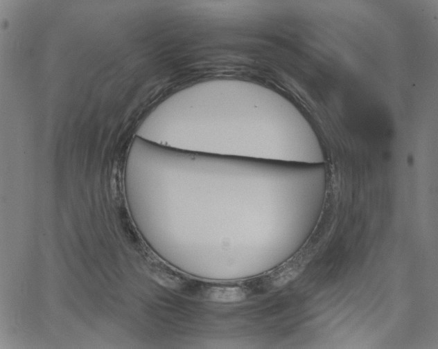 X0000067520169200604071033