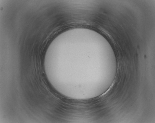 X0000067520170200604071033