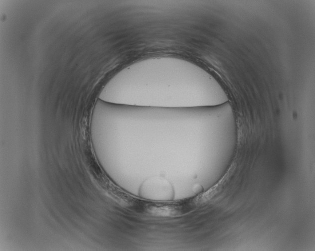 X0000067520171200604071033