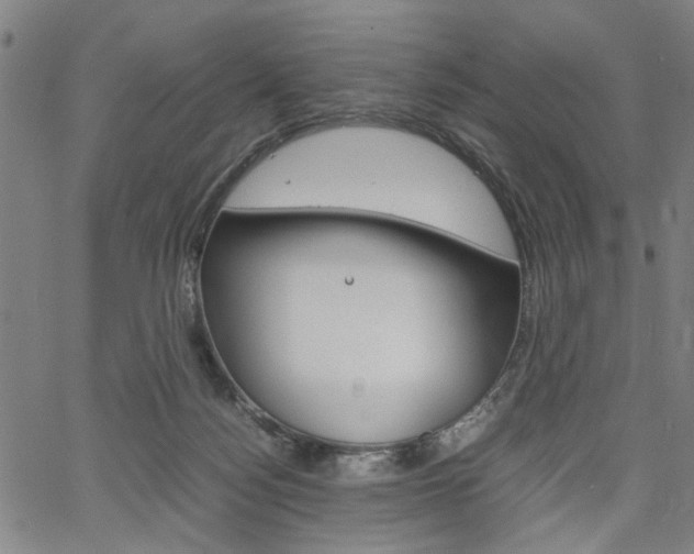 X0000067520172200604071033