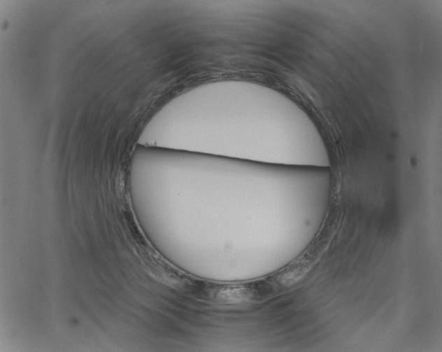 X0000067520173200604071033