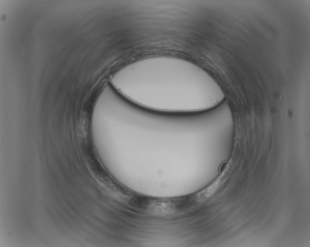 X0000067520174200604071033