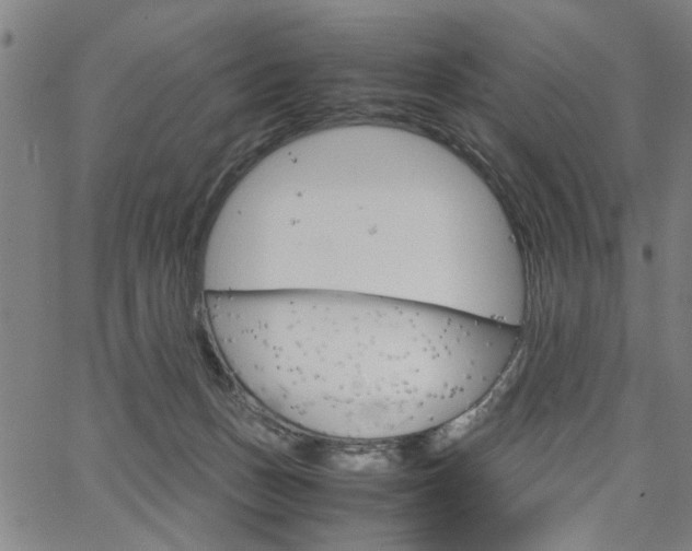 X0000067520175200604071033