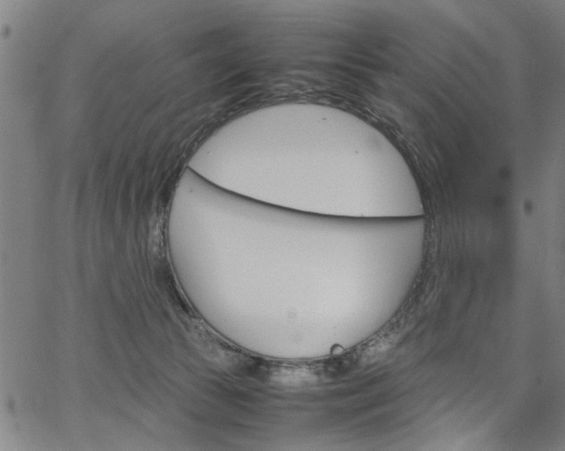 X0000067520177200604071033