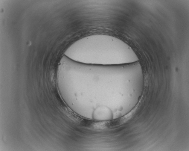 X0000067520178200604071033