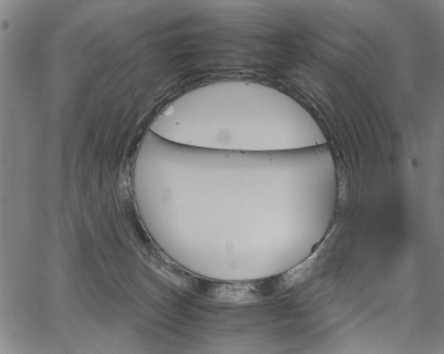 X0000067520179200604071033