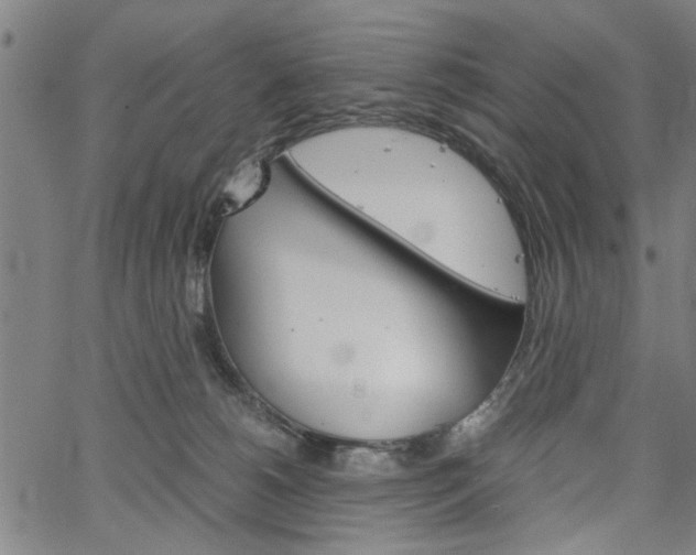 X0000067520180200604071033