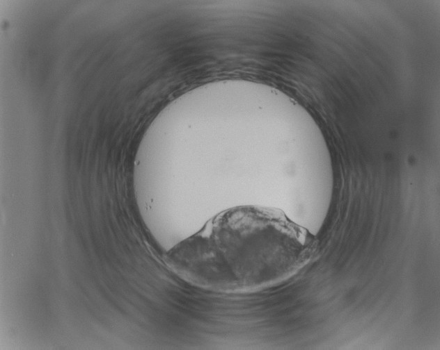 X0000067520181200604071033