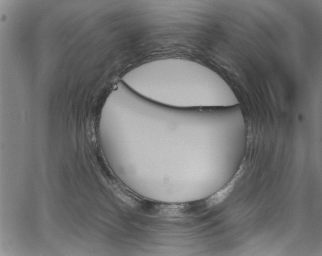 X0000067520182200604071033