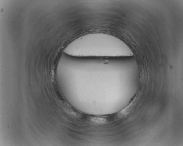 X0000067520183200604071033