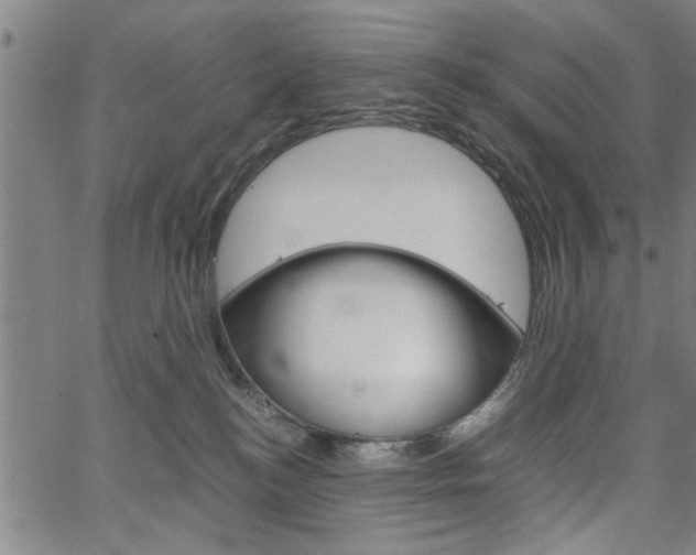 X0000067520184200604071033