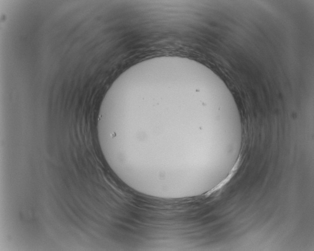 X0000067520186200604071033