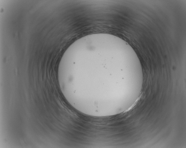 X0000067520187200604071033