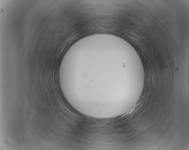 X0000067520188200604071033