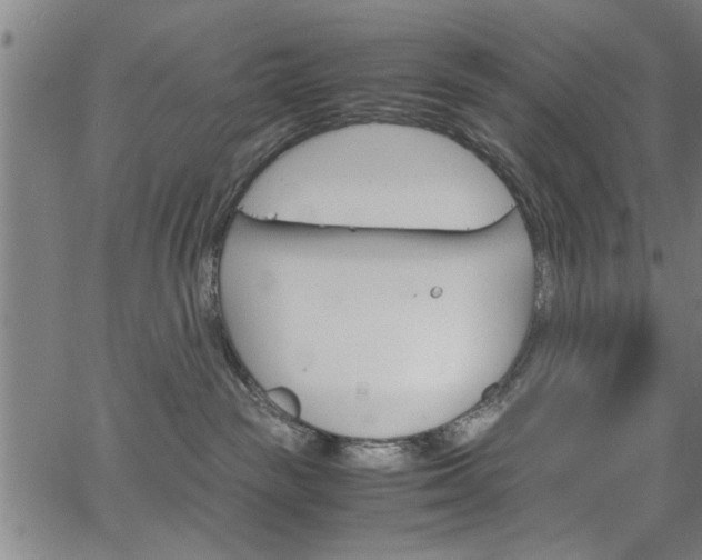 X0000067520189200604071033