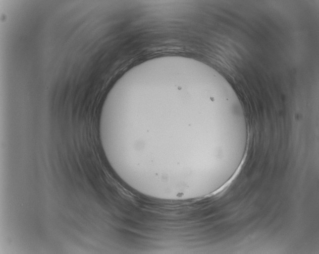 X0000067520190200604071033